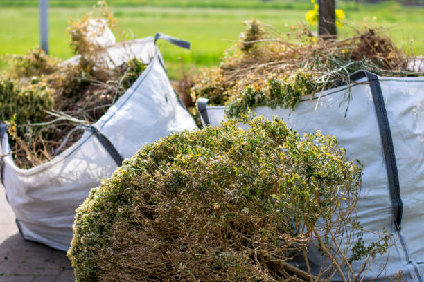 Best Yard Cleanup Services  in New River, AZ